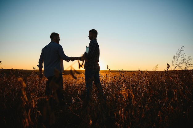 Foto dos granjeros dándose la mano en el campo de soja