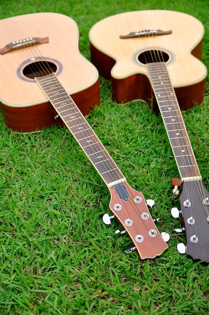 Dos guitarras en la textura de la hierba verde brillante