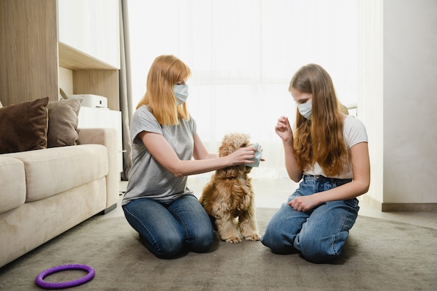 Dos hembras en casa durante el período de aislamiento intentan proteger a la encantadora mascota de virus, coronavirus, que cubren el hocico del perro. Mamá e hija con un perro.