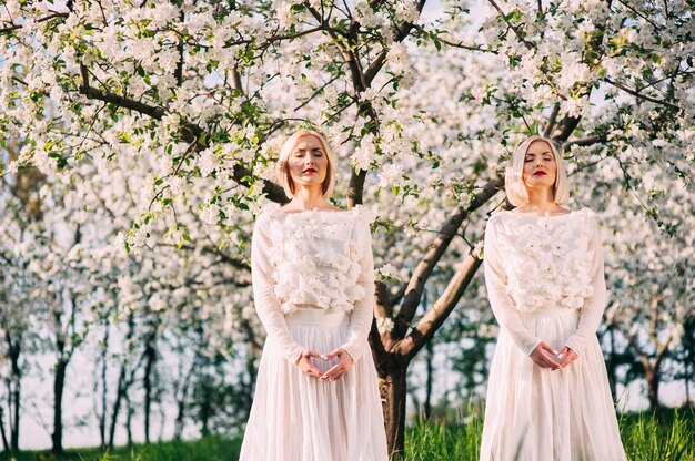 dos hermanas gemelas en un huerto de cerezos