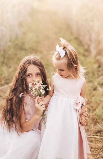 Dos hermanas de niñas se abrazan y recogen flores en el verano