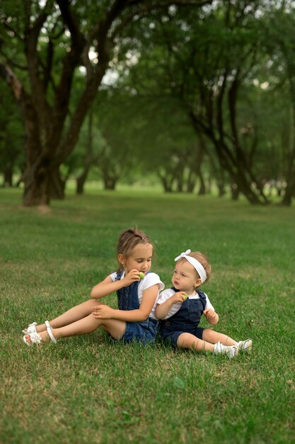 Dos hermanas se sientan en el parque en la hierba y comen manzanas