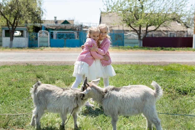 Dos hermanitas gemelas miran cabras en un prado en el pueblo y se abrazan