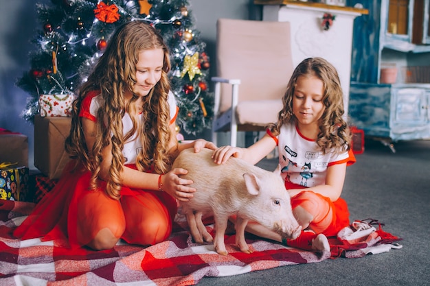 Dos hermanitas juegan con un mini cerdo cerca de un árbol de Navidad con regalos.