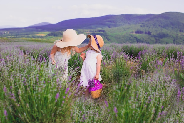 Dos hermanitas recogen flores de lavanda en un campo cerca del pueblo