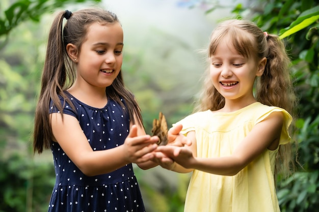 Dos hermanitas sosteniendo una mariposa en sus manos. Niños explorando la naturaleza. Ocio familiar con niños en verano.