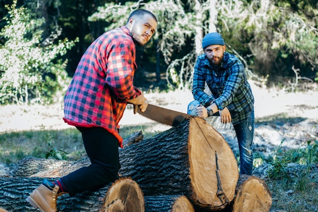 Foto dos hombres barbudos cortando troncos de madera