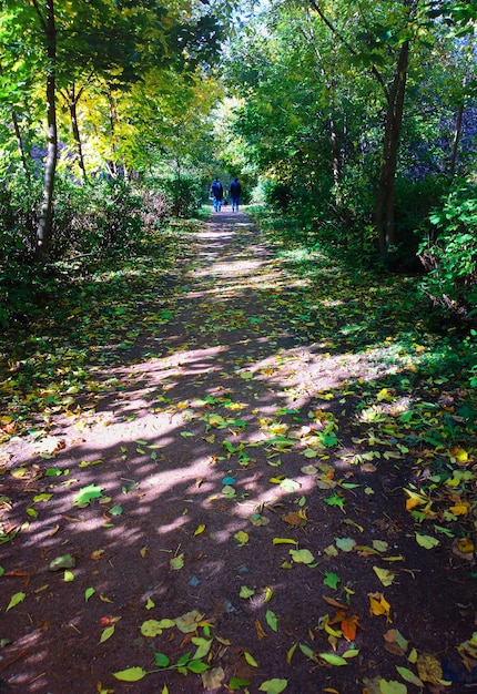 Dos hombres caminando en el fondo del parque otoño