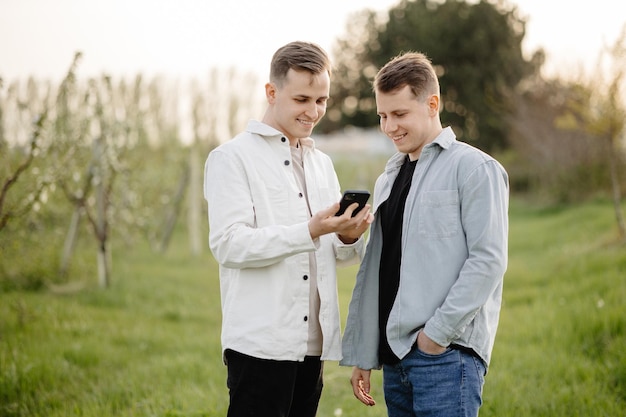 dos hombres, posición, en, un, campo, mirar teléfono