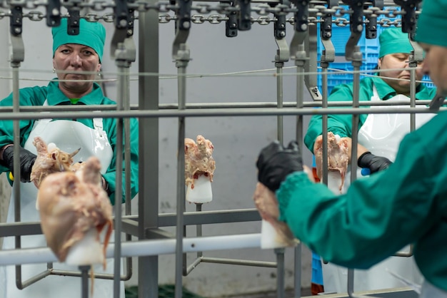 Dos hombres vestidos con batas verdes están trabajando en una planta procesadora de carne.