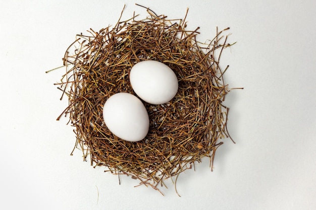 dos huevos de gallina en un nido en el fondo blanco