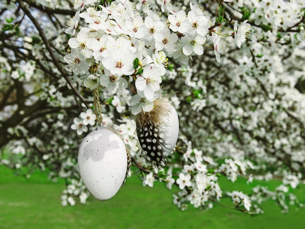 Foto dos huevos de pascua con plumas en un cerezo en flor de pascua de fondo