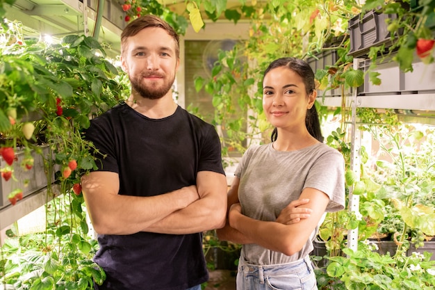 Dos jóvenes agricultores o jardineros con armas cruzadas exitosos de pie frente a la cámara durante el trabajo en invernadero