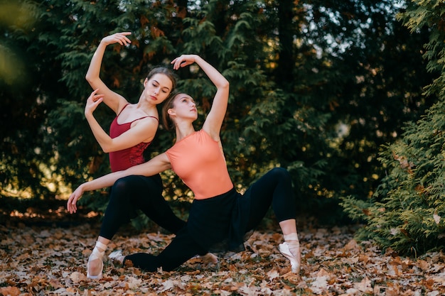 Dos jóvenes bailarinas posando con gracia y elegancia en la naturaleza.