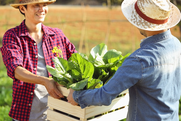 Dos jóvenes envían cajas de madera llenas de verduras frescas por la mañana.