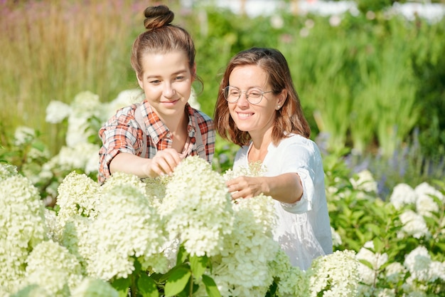 Dos jóvenes jardineros o trabajadores de invernadero mirando la flor de un nuevo tipo de hortensia blanca que florece en el jardín o invernadero