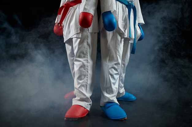 Foto dos karatekas masculinos posan en kimono blanco y guantes, huelga. luchadores en entrenamiento, artes marciales