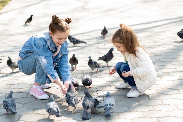 Dos lindas hermanas alimentan palomas en el parque Niños y animales