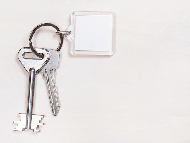 Dos llaves de puerta en llavero con llavero blanco en blanco