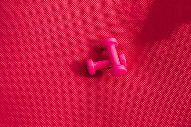 Dos mancuernas de fitness rosas en una alfombra de fitness rosa