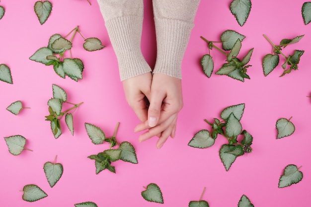 Dos manos femeninas y hojas verdes frescas de una planta