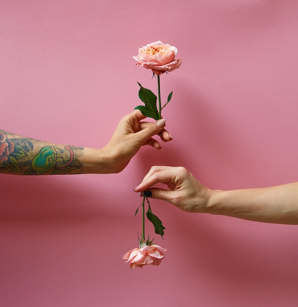 Dos manos de mujer con tatuaje y sin sujetar rosas flores sobre un fondo rosa para copiar la tarjeta de espacio