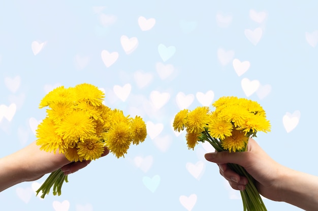 Dos manos sosteniendo ramos de flores amarillas de diente de león en la mano sobre un fondo azul con bokeh en forma de corazones transparentes, espacio de copia, tarjeta. Amor, romance, concepto de boda.