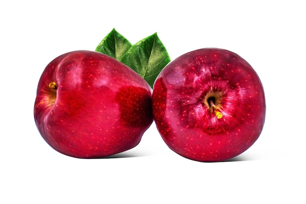 Dos manzanas rojas jugosas suaves frescas aisladas sobre fondo blanco
