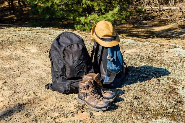 Dos mochilas, botas turísticas y sombrero sobre un terreno en un bosque de coníferas