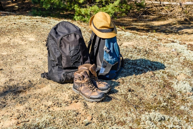 Dos mochilas, botas turísticas y sombrero en un suelo en un bosque de coníferas