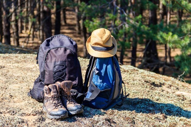 Dos mochilas de turismo, botas de montaña y sombrero en el claro del bosque de pinos. Concepto de caminata