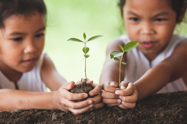 Foto dos muchachas asiáticas lindas del niño que plantan el árbol joven en suelo negro junto