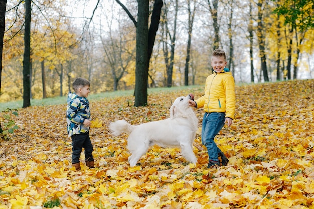 Dos muchachos divirtiéndose jugando con un perro en un parque de otoño