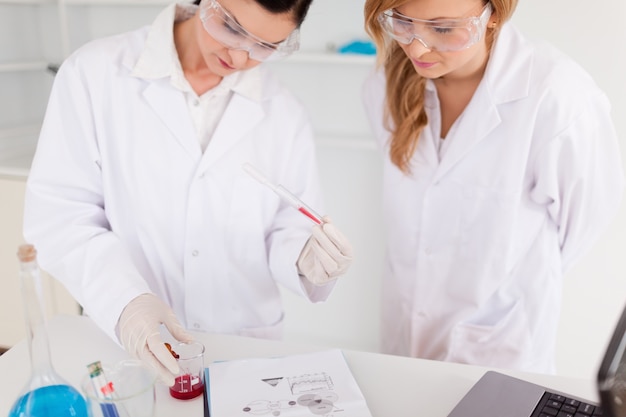 Dos mujeres científicas observando un tubo de ensayo