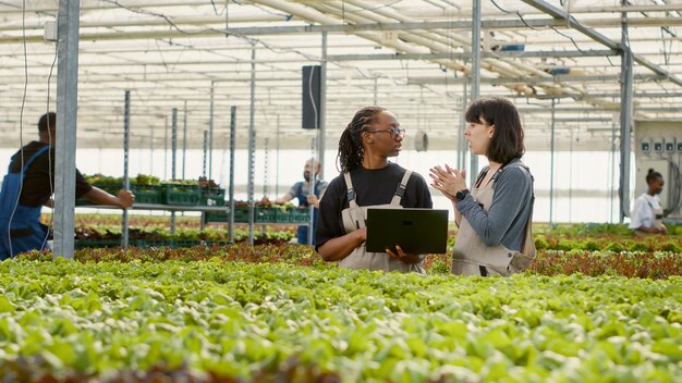 Dos mujeres diversas que usan una computadora portátil con software de gestión agrícola para administrar los sistemas de riego en un entorno hidropónico. Trabajadores agrícolas en invernadero con computadora portátil que planifica la cosecha.