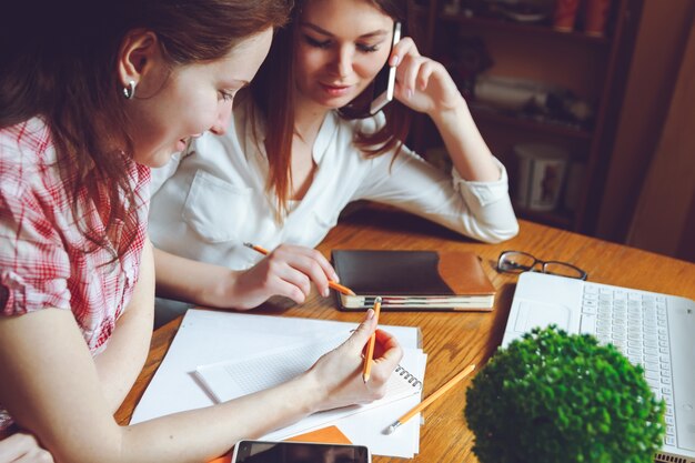 Dos mujeres jóvenes trabajando juntos en el lugar de trabajo a domicilio