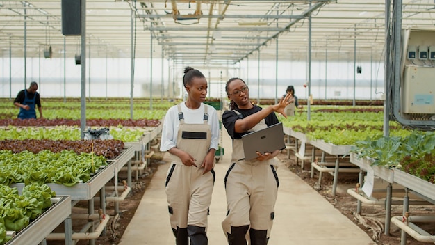 Dos mujeres que trabajan en un invernadero sostienen una laptop caminando y hablando sobre el cultivo de lechuga orgánica y verduras biológicas. Trabajadores agrícolas afroamericanos discutiendo sobre la cosecha de plantas para pedidos en línea.