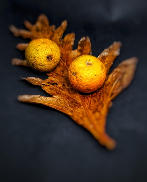 Dos naranjas encima de las hojas secas