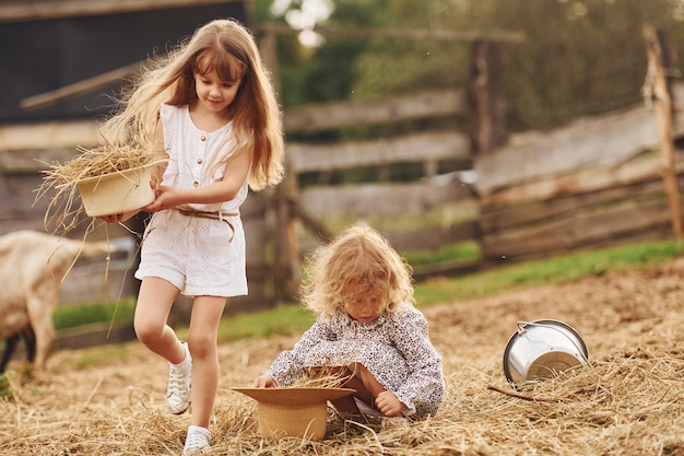 Dos niñas juntas en la granja en verano pasando el fin de semana con cabras