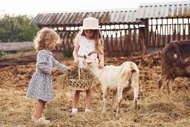 Foto dos niñas juntas en la granja en verano pasando el fin de semana con cabras