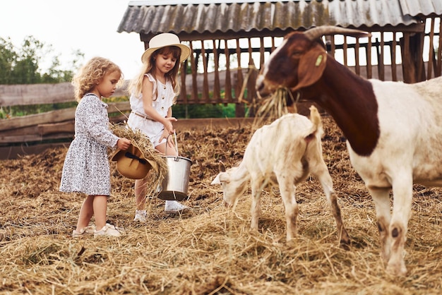 Dos niñas juntas en la granja en verano pasando el fin de semana con cabras