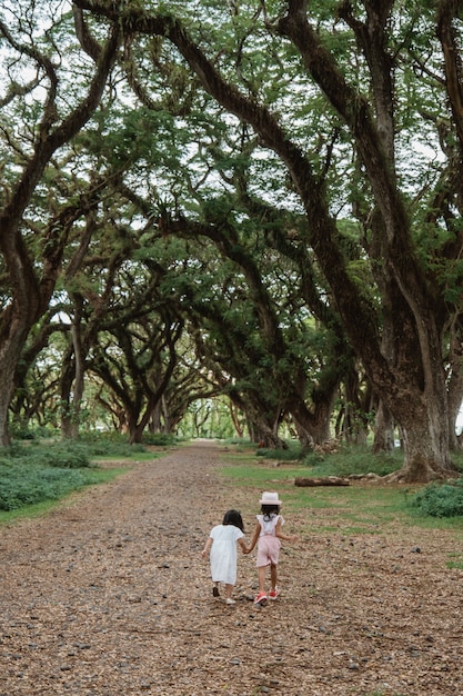 Dos niños se alejan entre un árbol sombreado