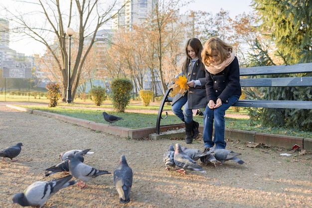 Dos niños niñas alimentan palomas pájaros en un soleado día de otoño