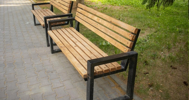 Foto dos nuevos bancos de madera están a lo largo del callejón en el parque de la ciudad de verano