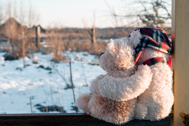 Dos ositos de peluche, uno blanco con un sombrero rojo, el segundo marrón con una manzanilla, sentados abrazados. El concepto de familia, relaciones, amor.