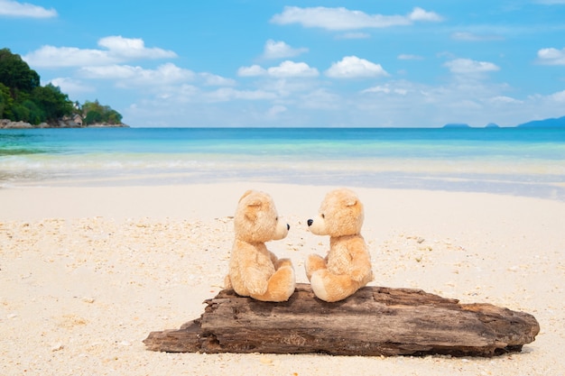 Dos ositos de peluche sentado en la madera con vista al mar