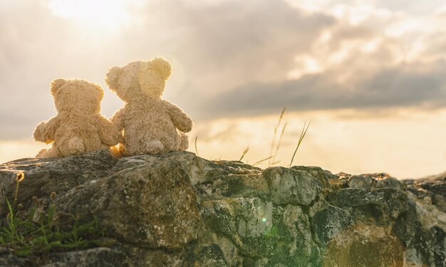 Dos osos de peluche sentados en una piedra y tomados de la mano con la vista trasera de la luz del atardecer Tema de amor Concepto sobre el amor y la relación copyspace para su texto individual