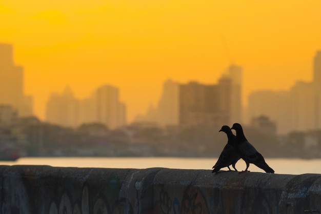 Dos pájaros en la pared.