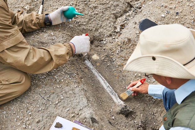 Foto dos paleontólogos extraen hueso fosilizado del suelo en el desierto, se centran en los restos