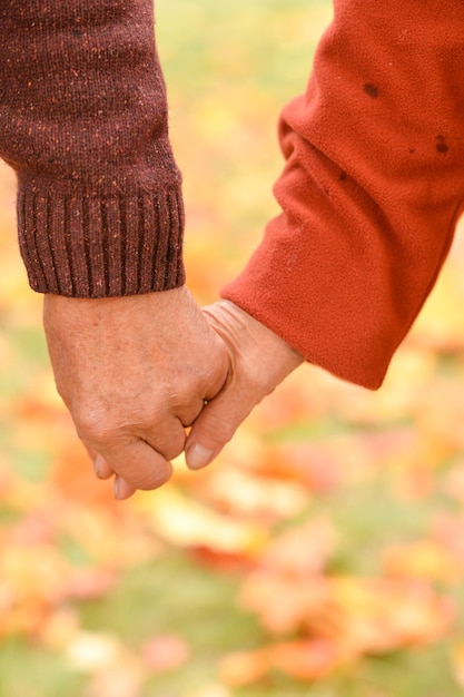 Dos personas cogidos de la mano en el otoño de la naturaleza.